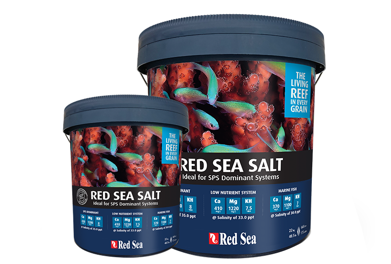 Red Sea Meersalz Eimer 7kg