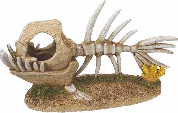 Nobby Monsterfisch Skelett 22.8 x 8.5 x 13 cm
