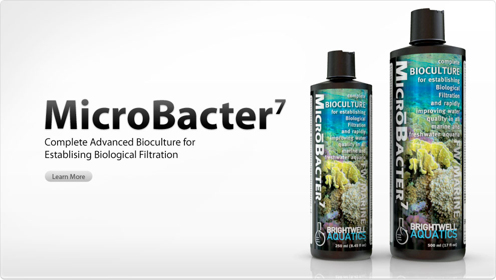 Brightwell Aquatics MicroBacter7 - bacteria for biological filtration (250ml)
