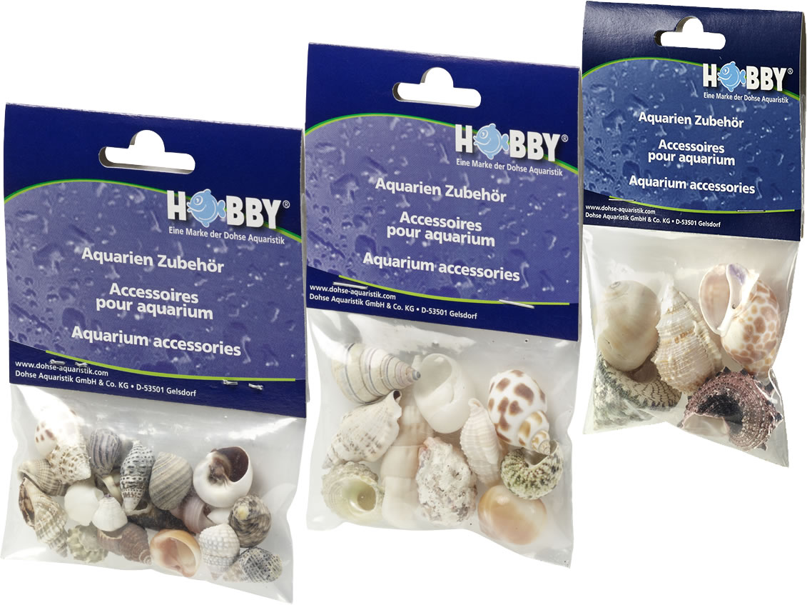 HOBBY Sea Shells Set -S- 