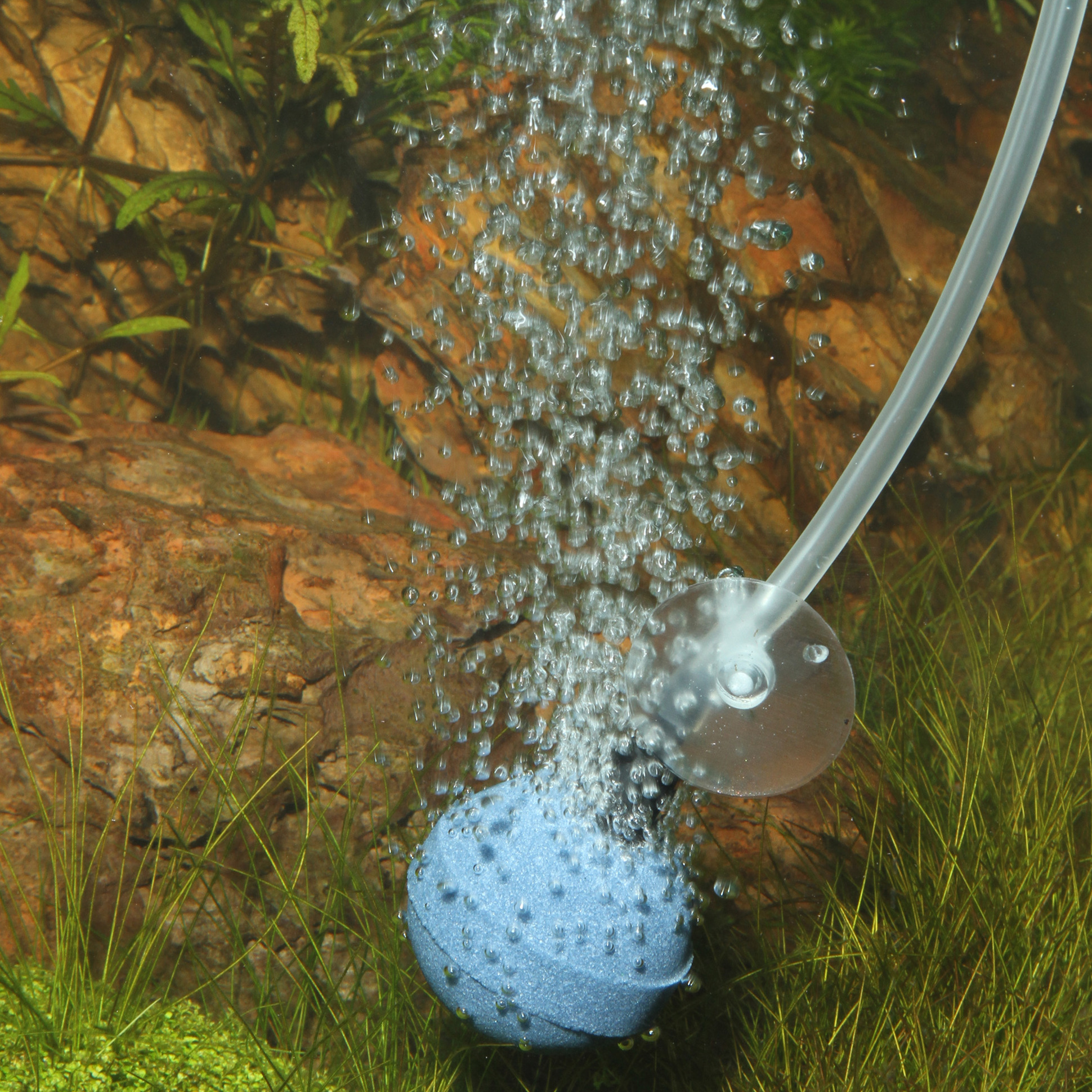 JBL Aeras Micro Ball L, Ø 4 cm, blau
