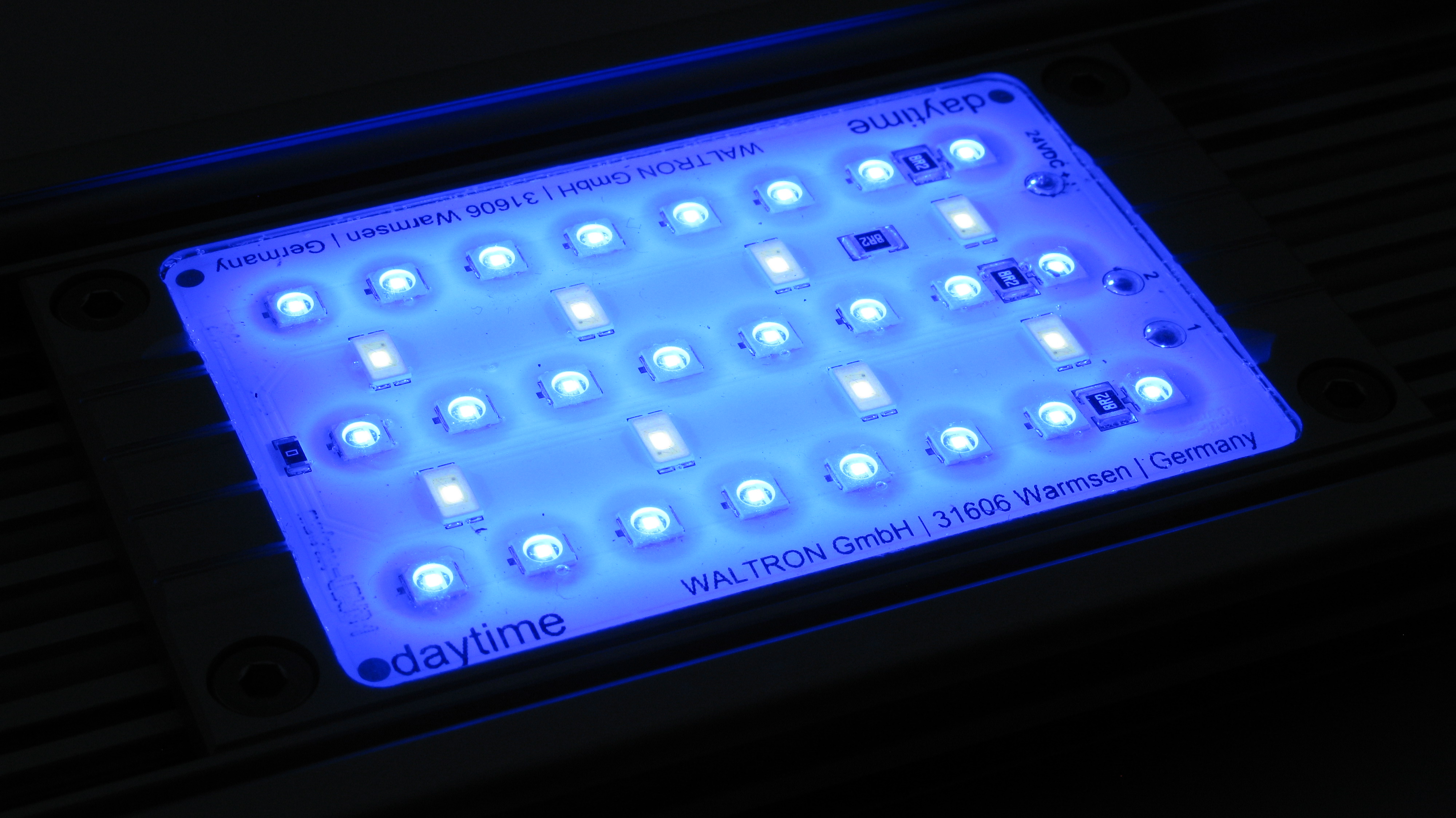 daytime matrix Ultra Blue White 3:1 LED-Modul