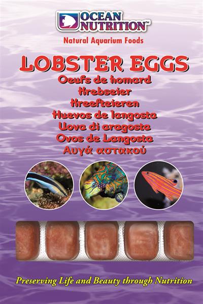 Ocean Nutrition Lobstereier (20 Würfel)