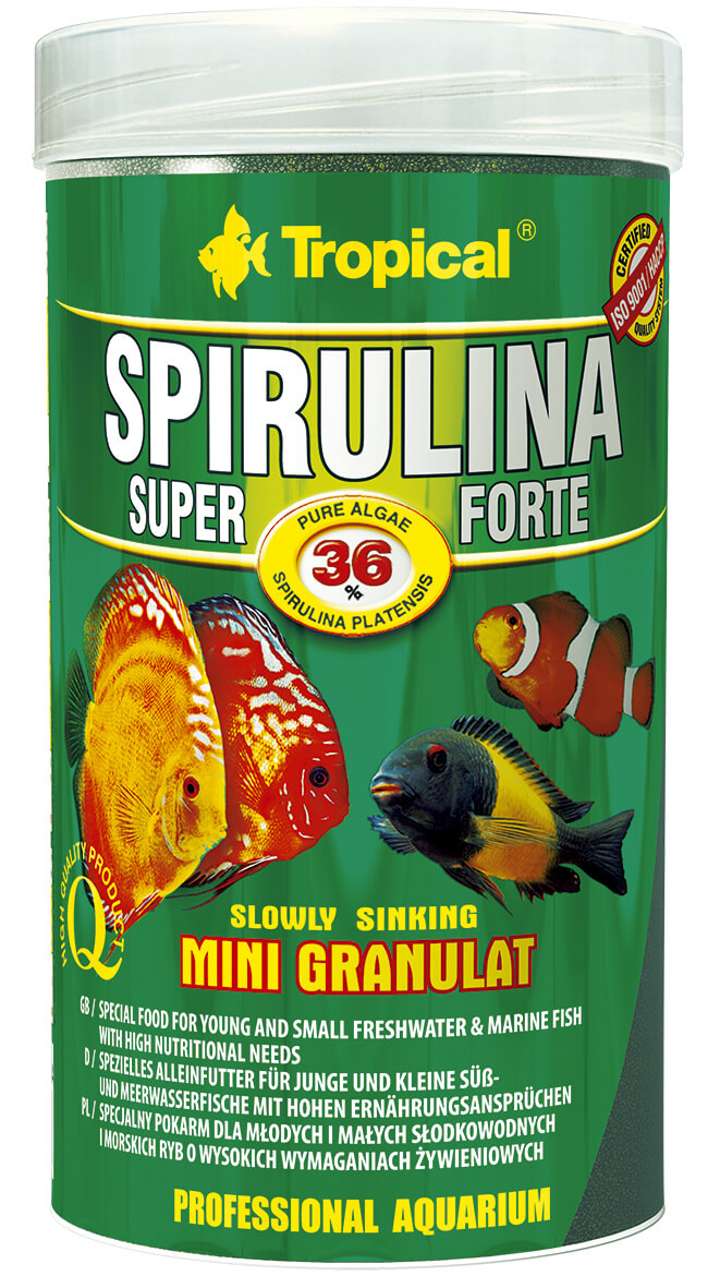 Tropical Super Spirulina Forte 36% Mini Gran. 100ml 