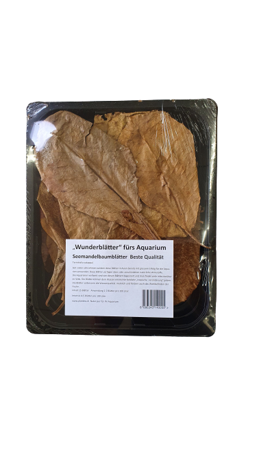 Seemandelbaumblätter 20-25cm / 15 Stk pro Packung